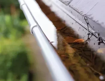 A blocked gutter filled with twigs, leaves, and rain water.