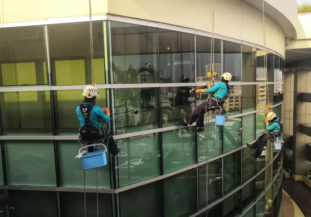 Cleaning operatives on abseil equipment, cleaning exterior office windows.